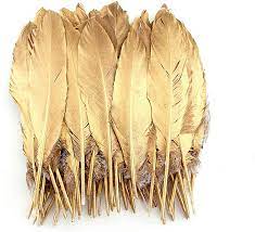 Gold & Silver Feathers