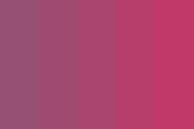 Fabric Dye Dharma dye-cold water- 2oz-Dragon Fruit