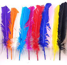 Single Large Feather